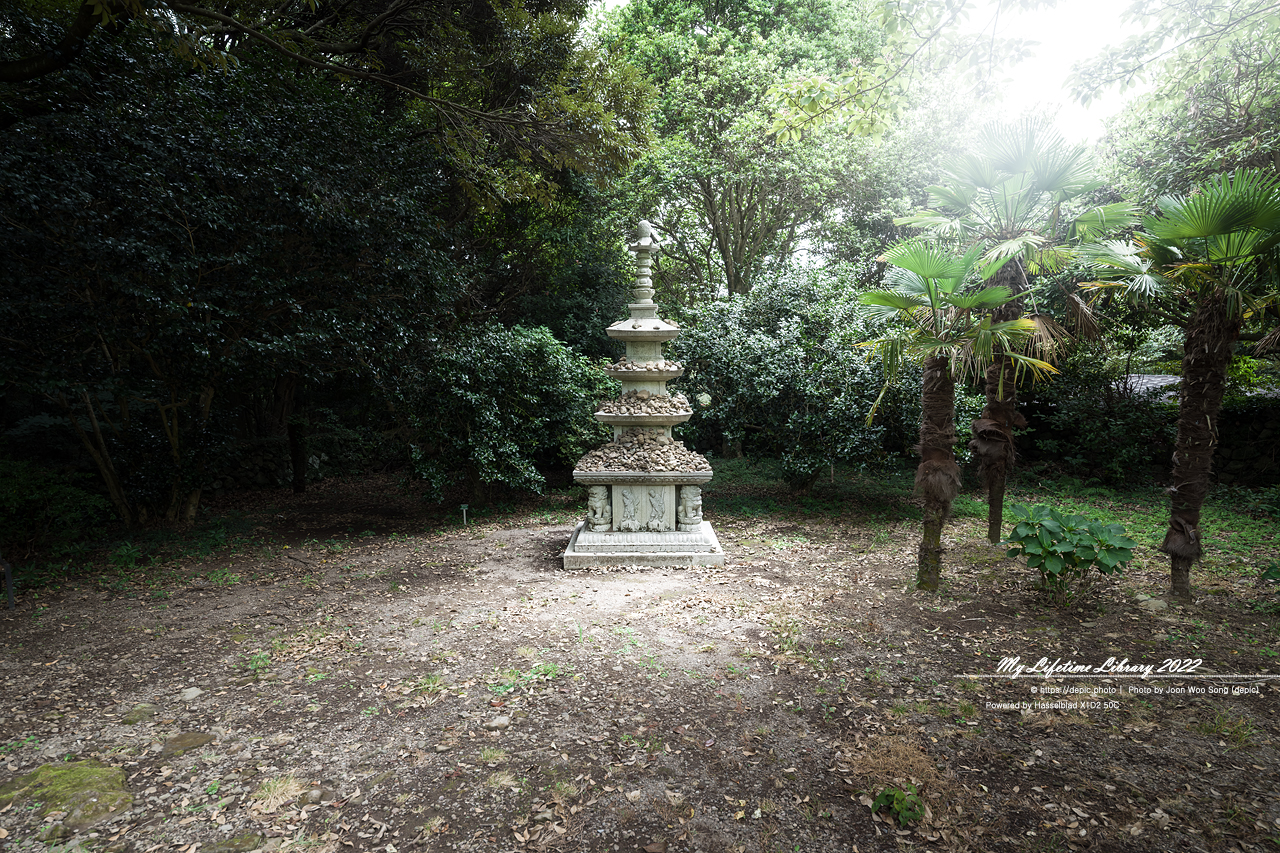 #제주 #상효원 #대나무 #숲 #2022제주여행