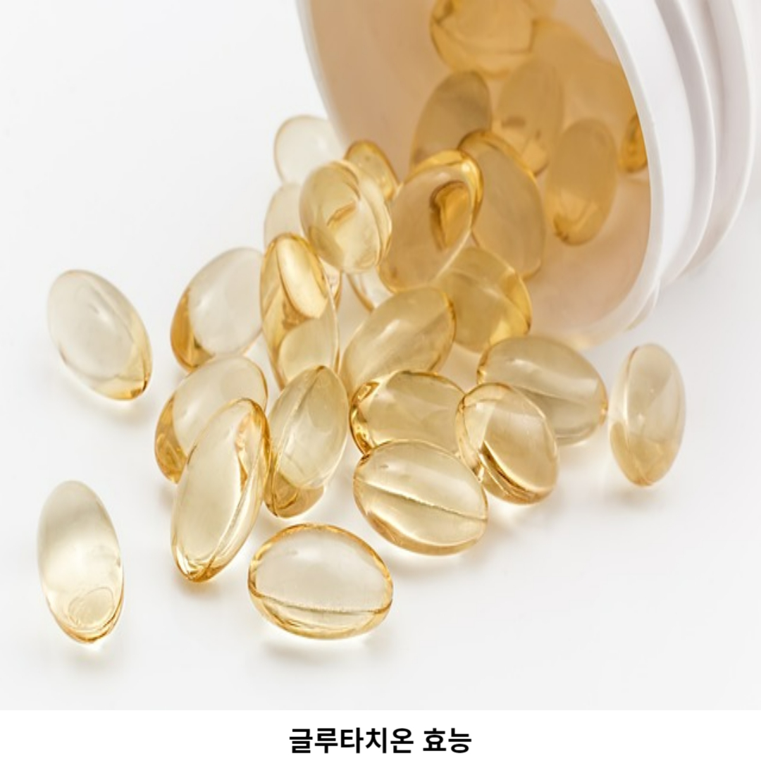 글루타치온 소화기 건강