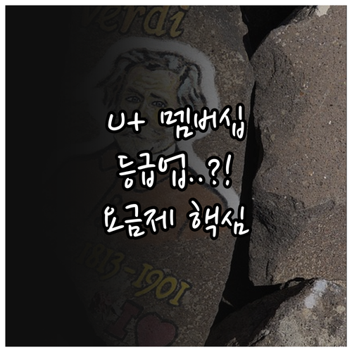 LG 유플러스 멤버십 등급 올리는 법..