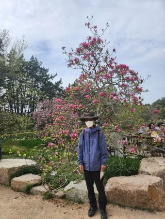 천리포 수목원 목련축제 입장료 여행코스_8
