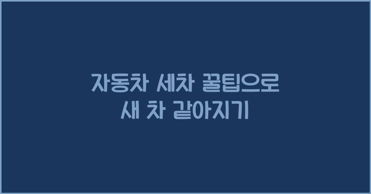 자동차 세차