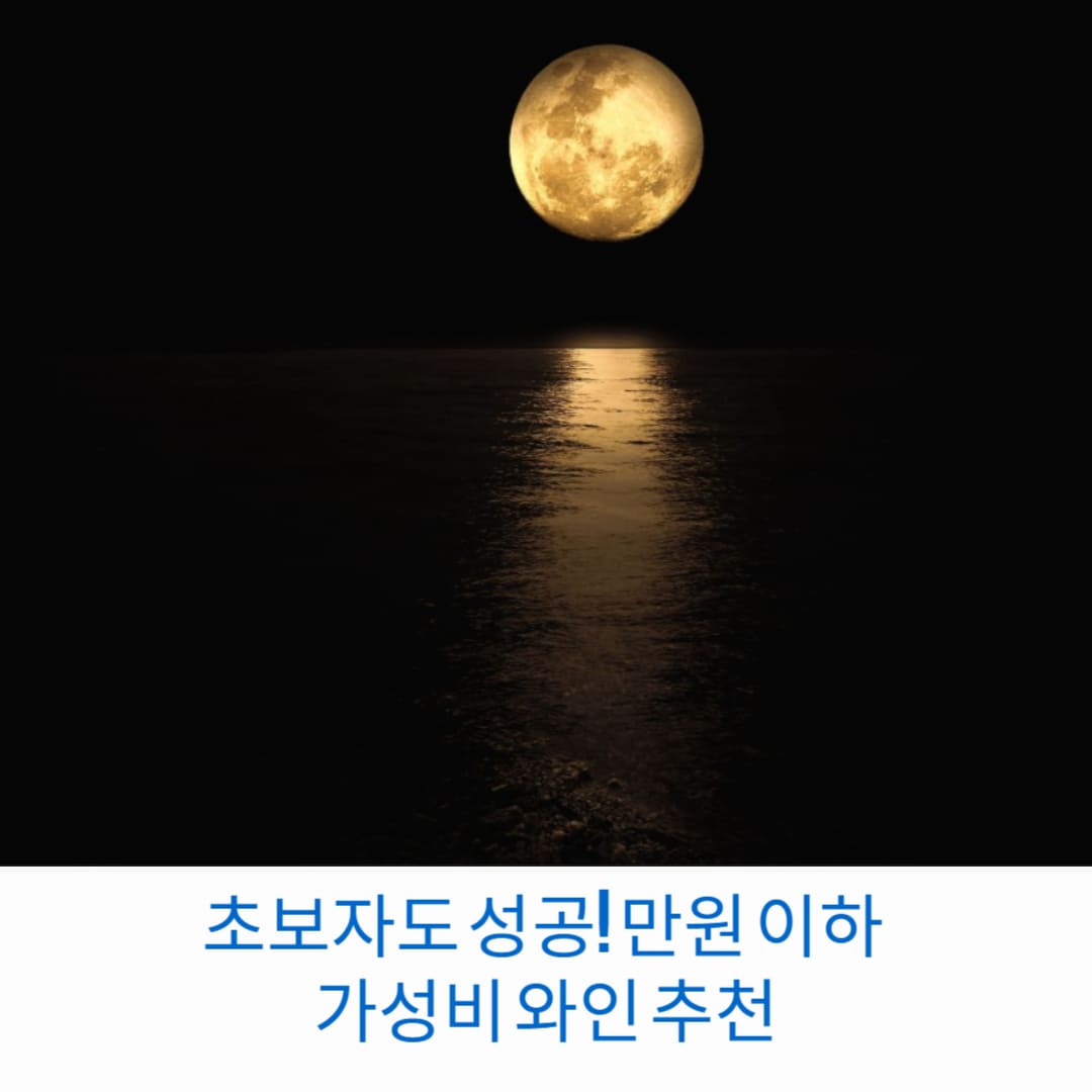 초보자도-성공-만원-이하-가성비-와인-추천-썸네일