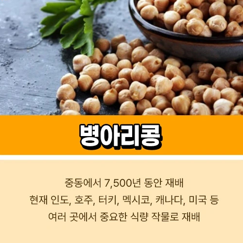병아리콩