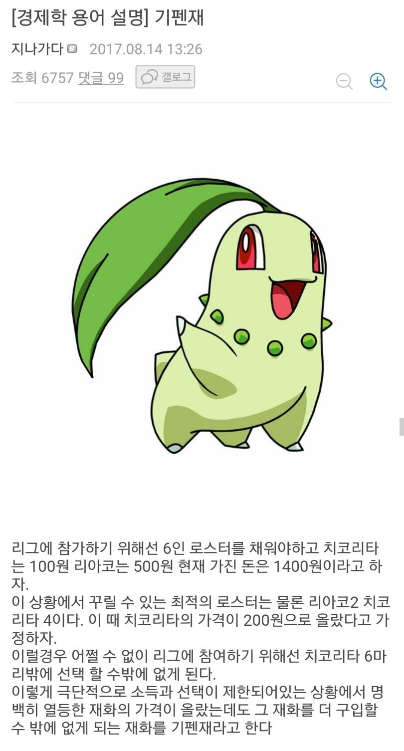 기펜재 치코리타