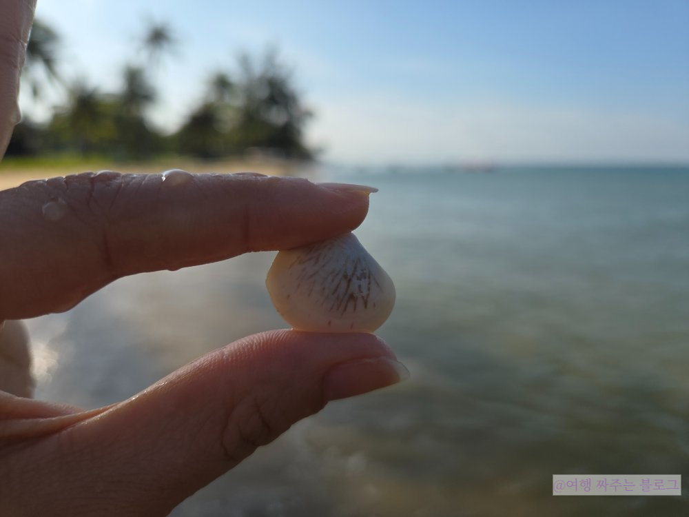 #소나시 비치바