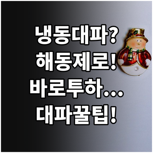 대파 냉동실 보관 시 해동 없이 바로..