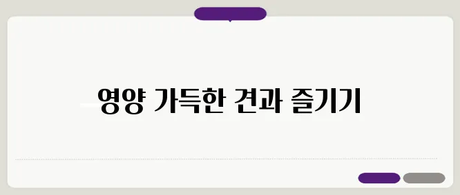 캐슈넛 효능 한번 정확하게 알아보도록 하죠