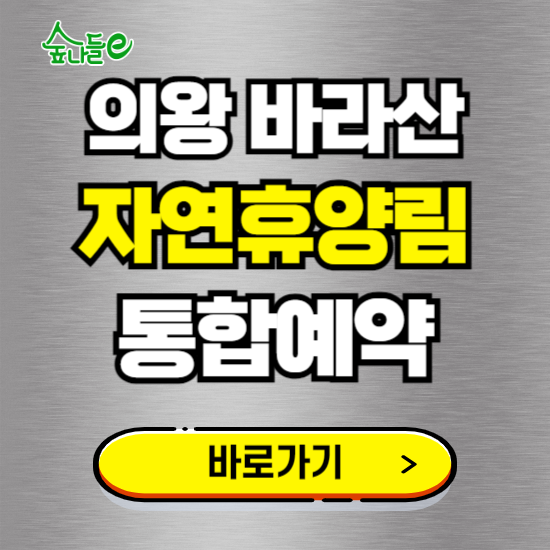 의왕 바라산 자연휴양림 온라인 예약하기 ❘ 숙소 야영장 캠핑장 실시간 예약 현황 보기 ❘ 경기 의왕시