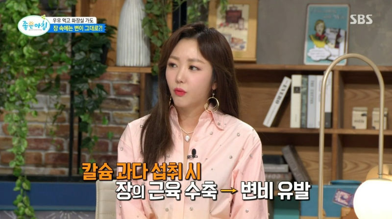 유제품 우유 치즈 유당불내증 변비