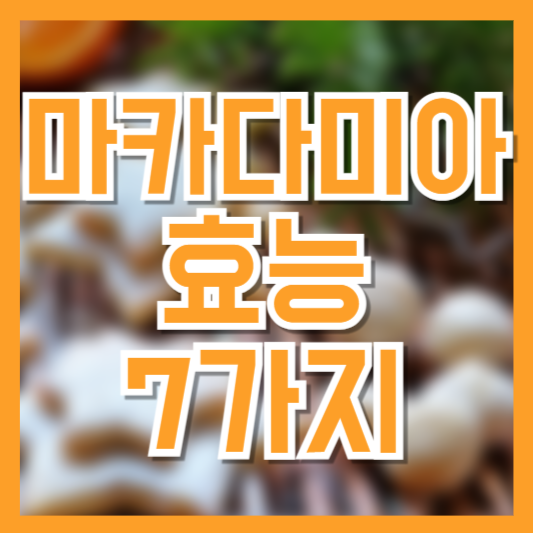마카다미아 효능 총정리: 건강에 좋은 이유 7가지