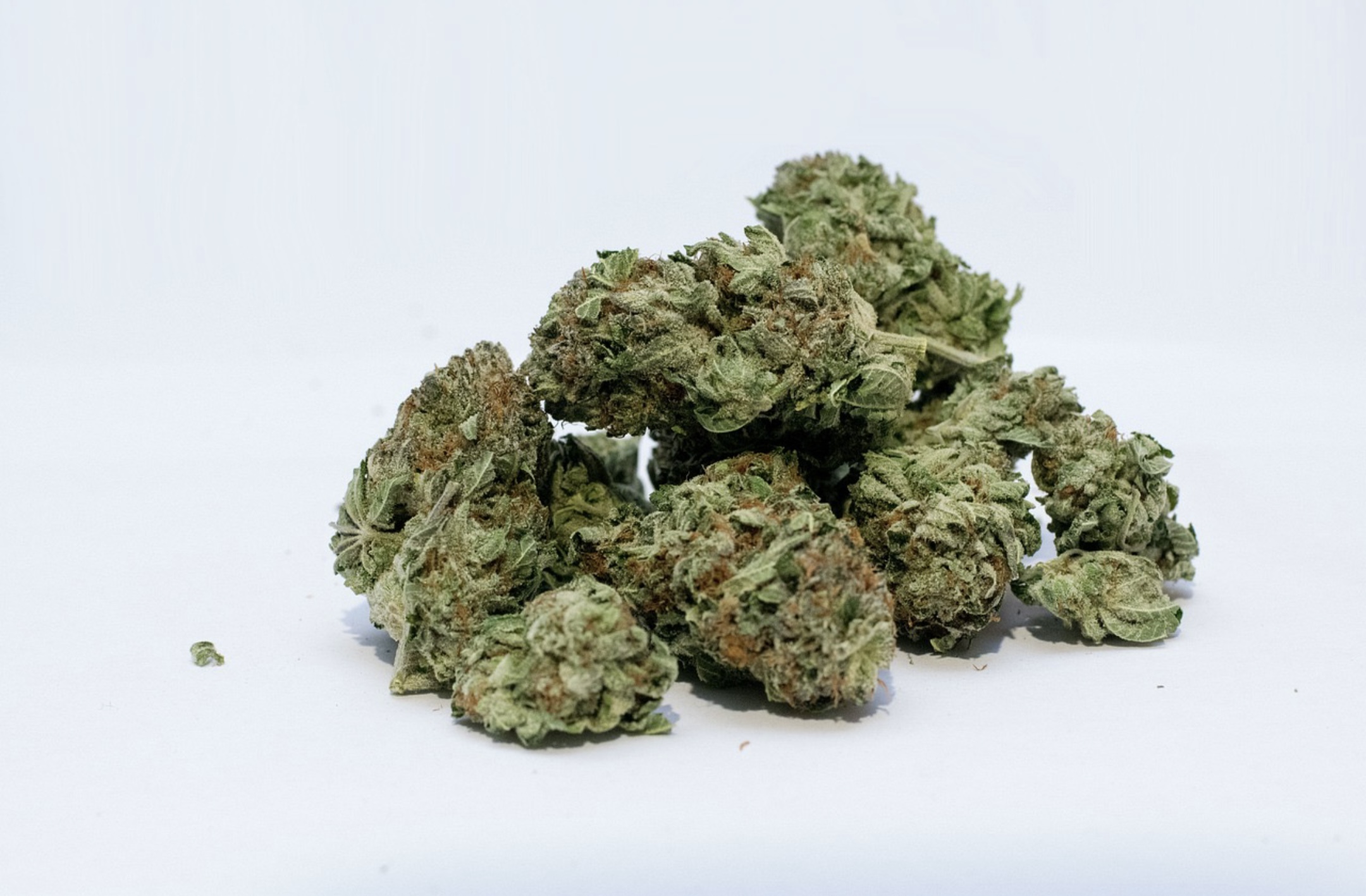 야당 (강하늘, 유해진, 박해준의 마약 범죄 드라마)