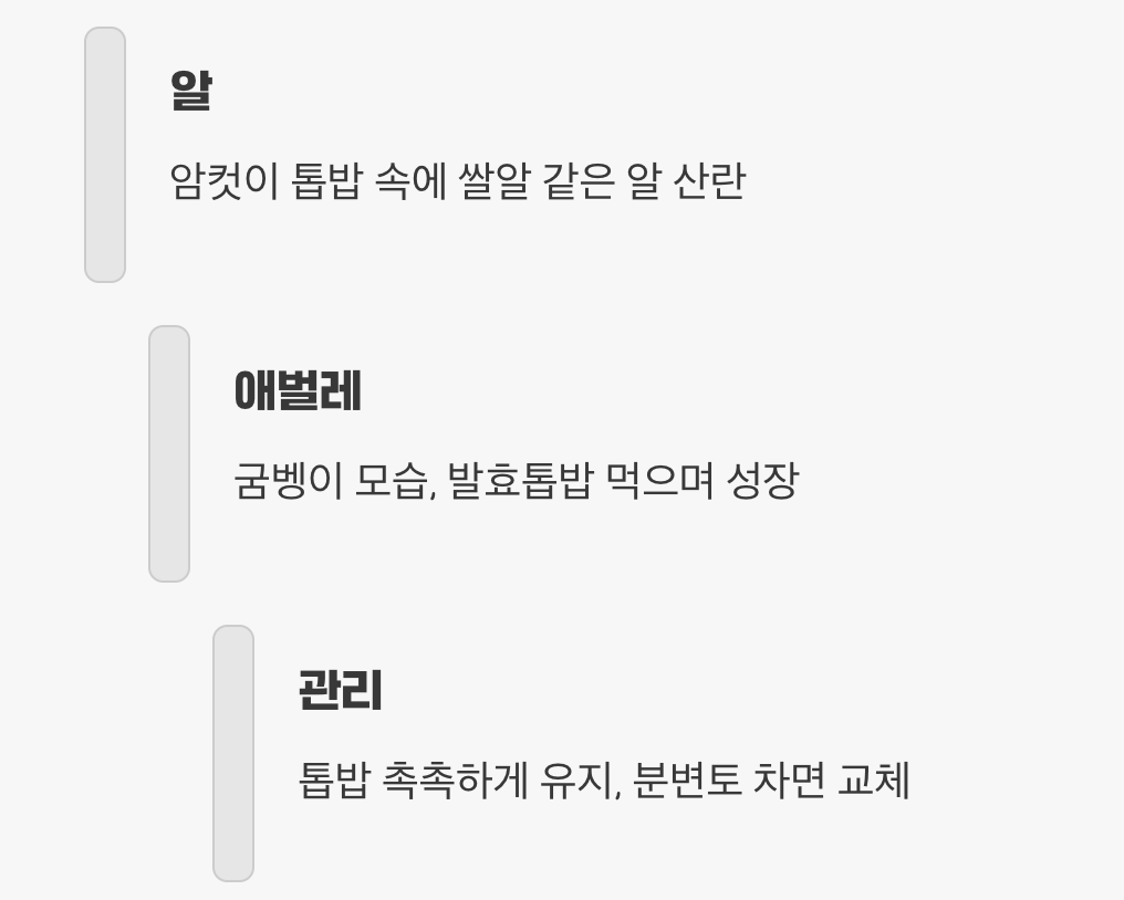 2세의 탄생, '산란'과 '애벌레' 관리