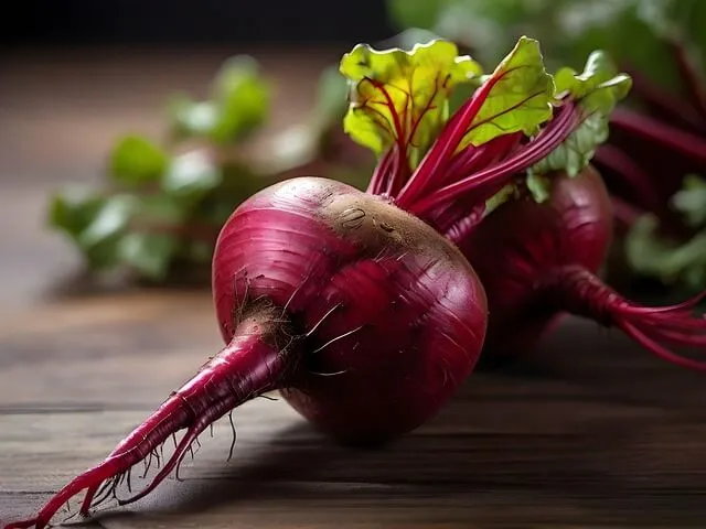 비트 질산염 성분 풍부