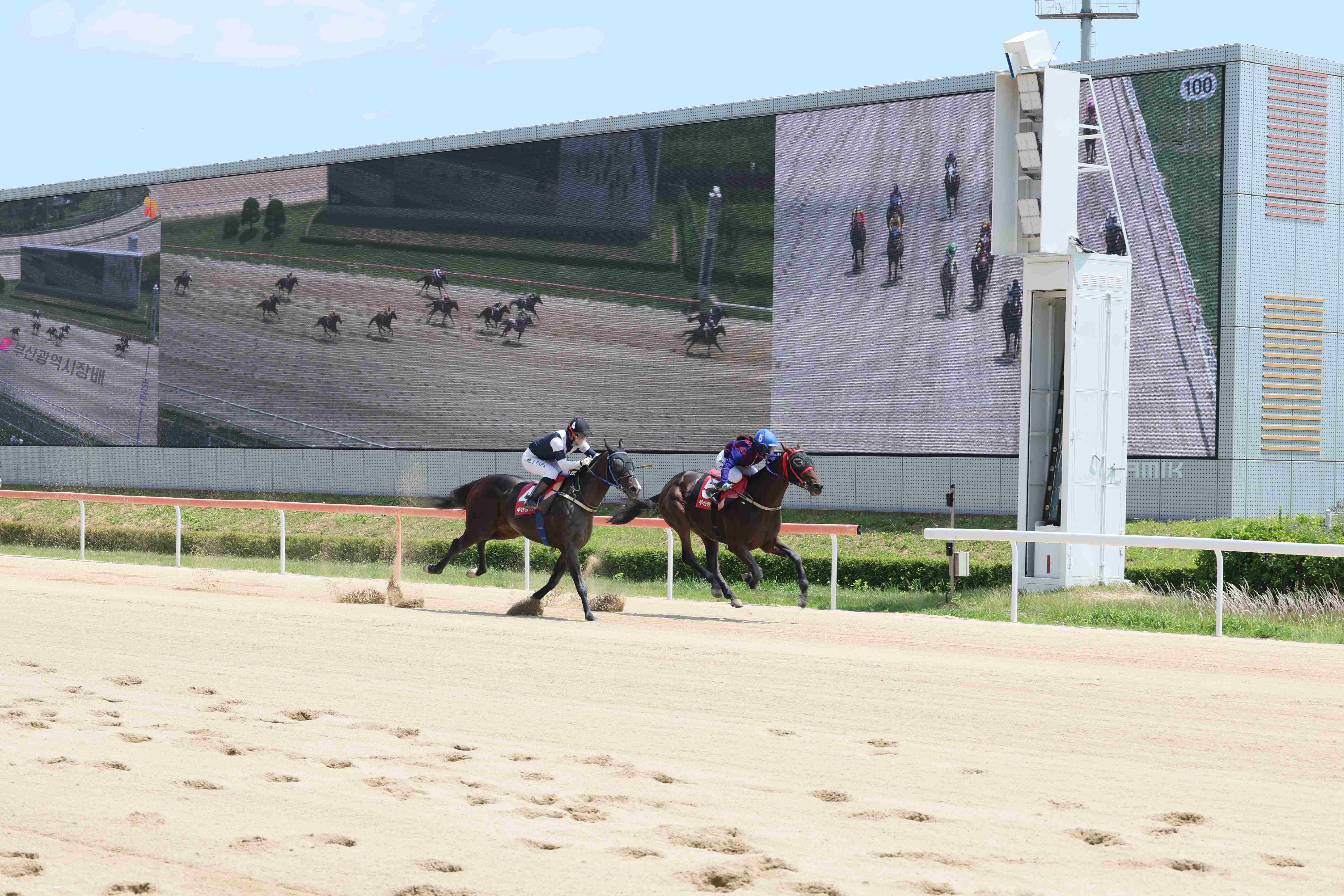 2024년 연도대표마 글로벌히트의 경주장면