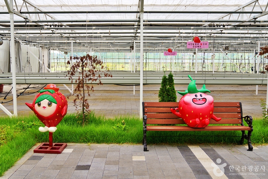 논산 가볼만한곳 베스트10