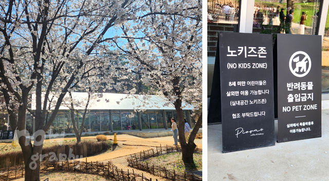 충남-당진-피어라-카페