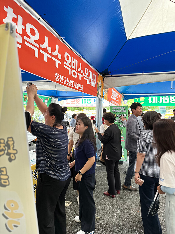 홍천 찰옥수수 축제 2026