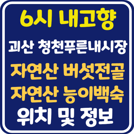 6시 내고향 괴산 자연산 버섯전골, 자연산 능이백숙 식당 위치 및 정보 : 청천푸른내시장