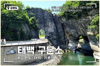 태백 가볼만한곳 추천 카페 맛집 가을 BEST 10_8