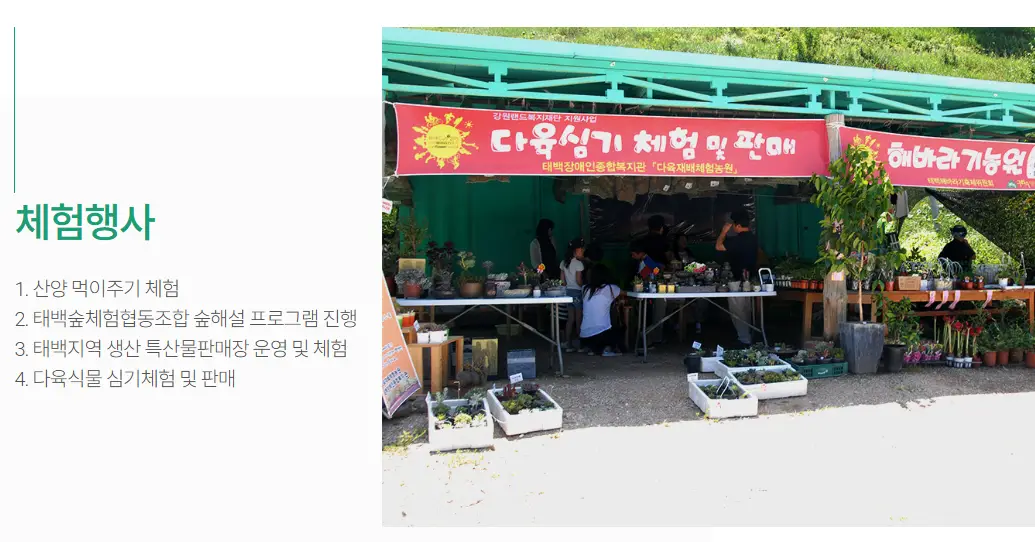 체험행사