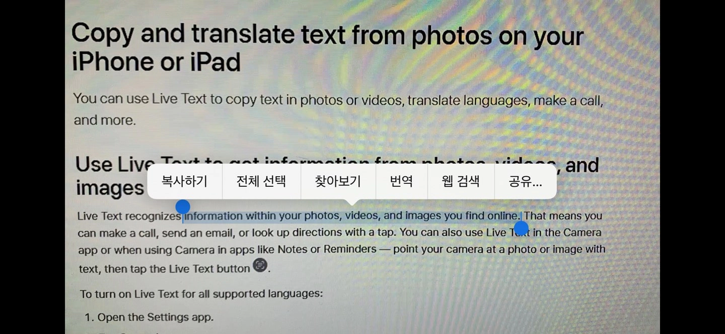 영상 속 영어 번역