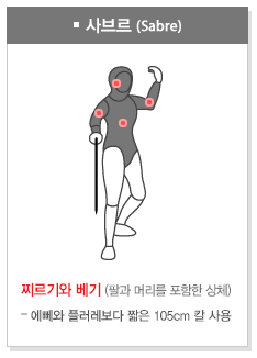 팬싱 종목(이미지 대한펜싱협회)