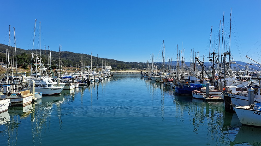 Pillar Point Harbor