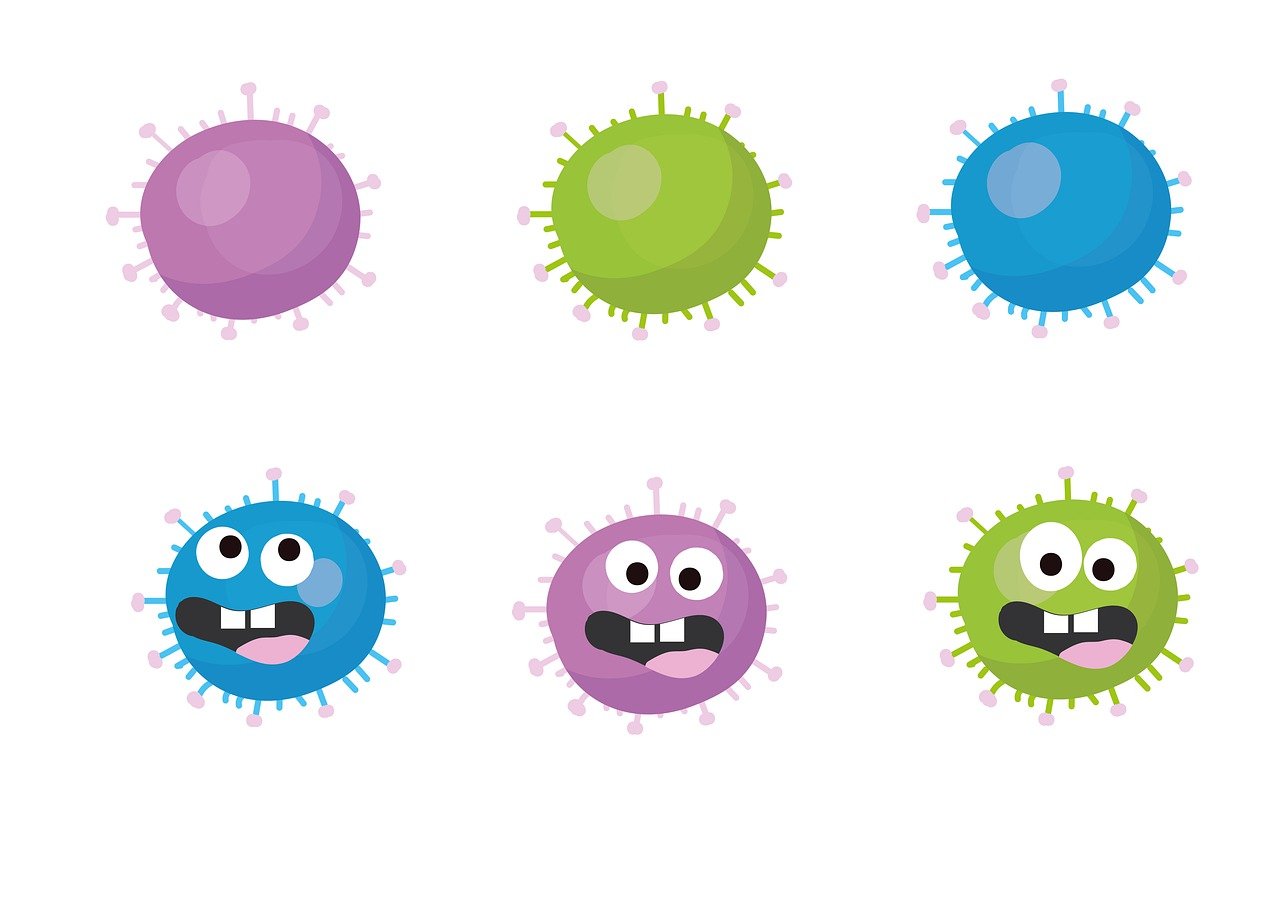 재감염·재발 예방 관리