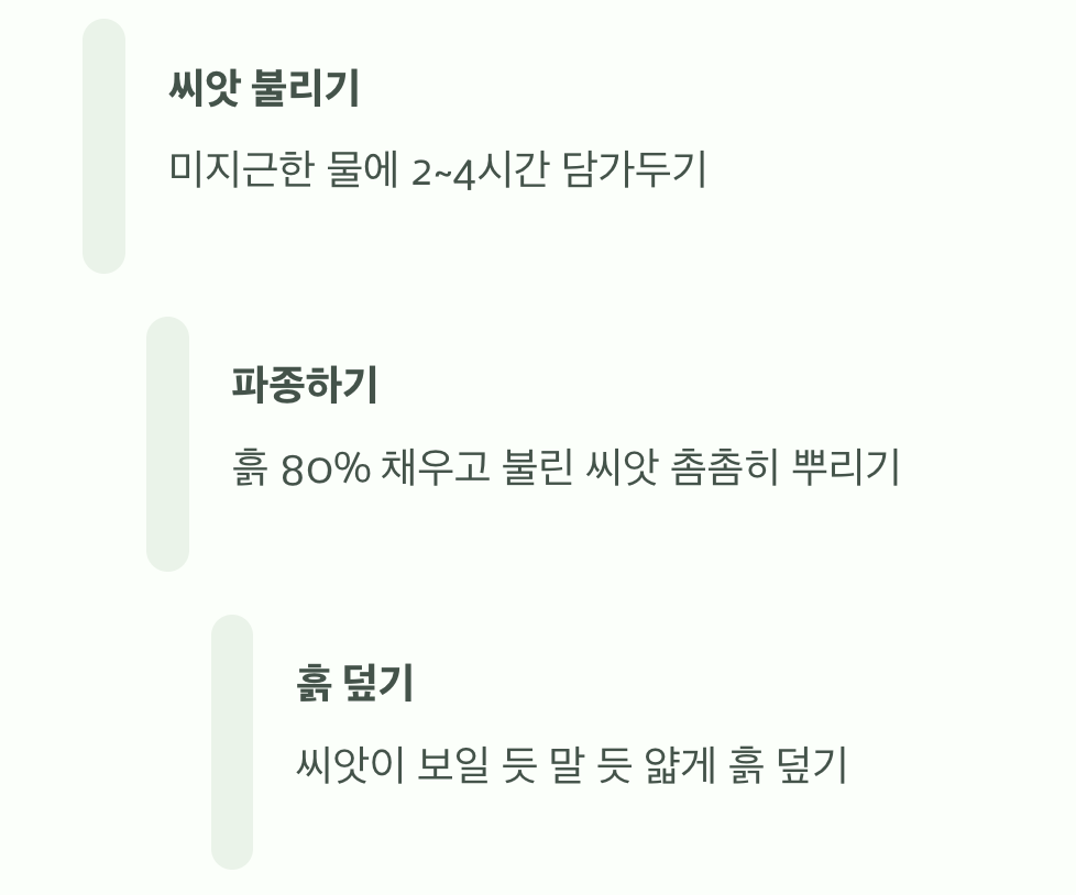 씨앗 심기, 실패 없는 3단계