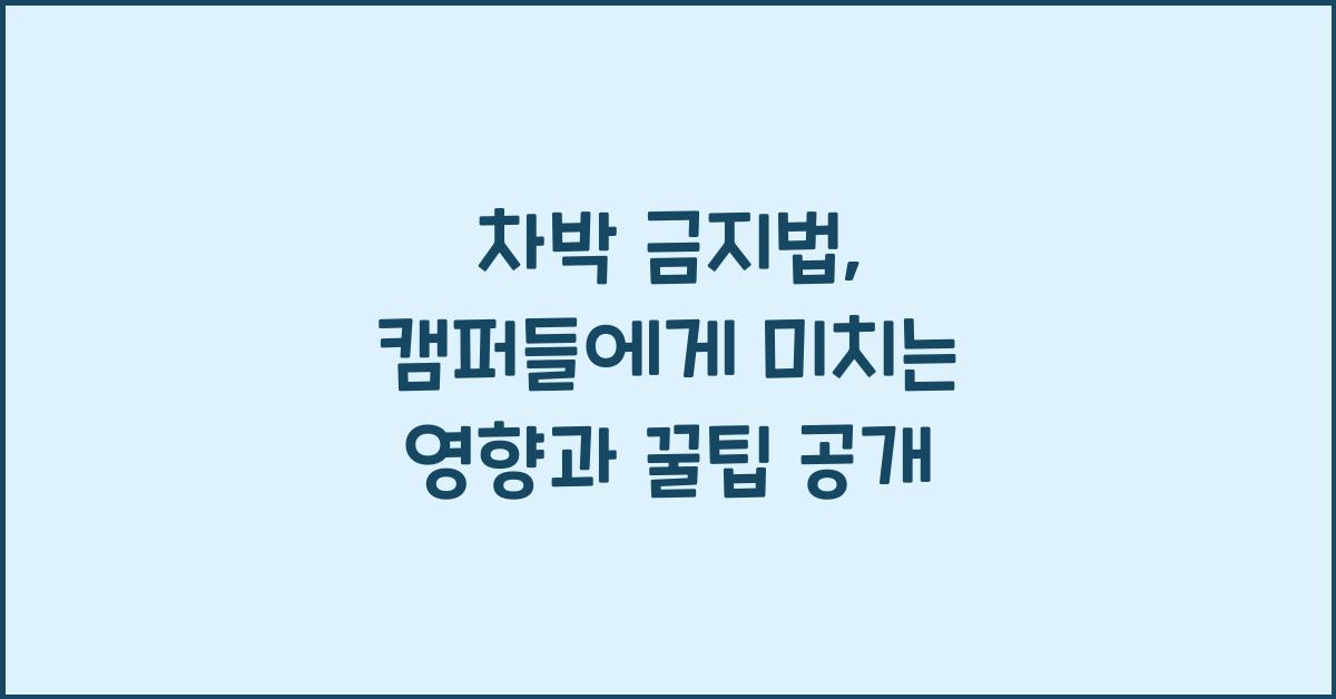 차박 금지법