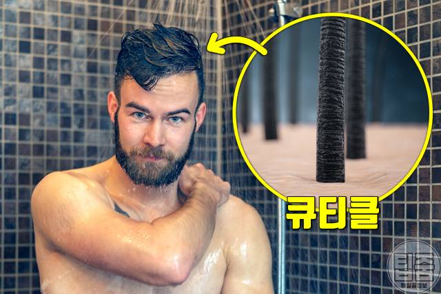 찬물 샤워 효과 찬물샤워 탈모