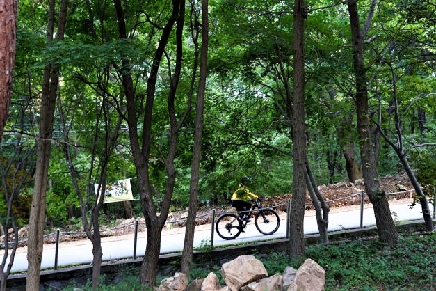 임도오거리로 올라가는 MTB 1, 노란 옷, 검은 바지,