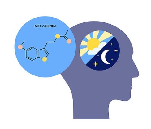 멜라토닌-효능-영양제-추천