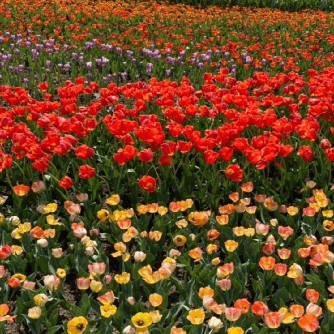 50대 여자친구들과 가기 좋은 국내 힐링 여행지