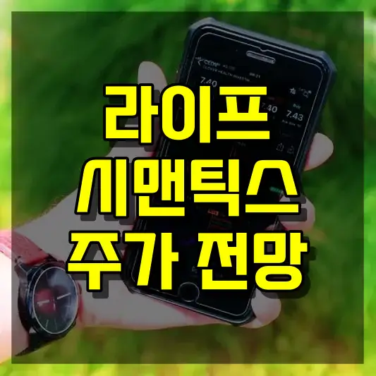 라이프시맨틱스 주가 전망