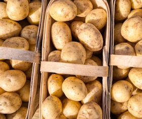 나트륨 배출에 좋은 음식 방법 몸속 돕는 칼륨