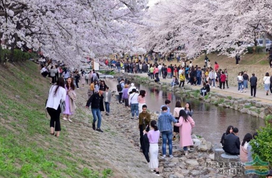 무거천 벚꽃길