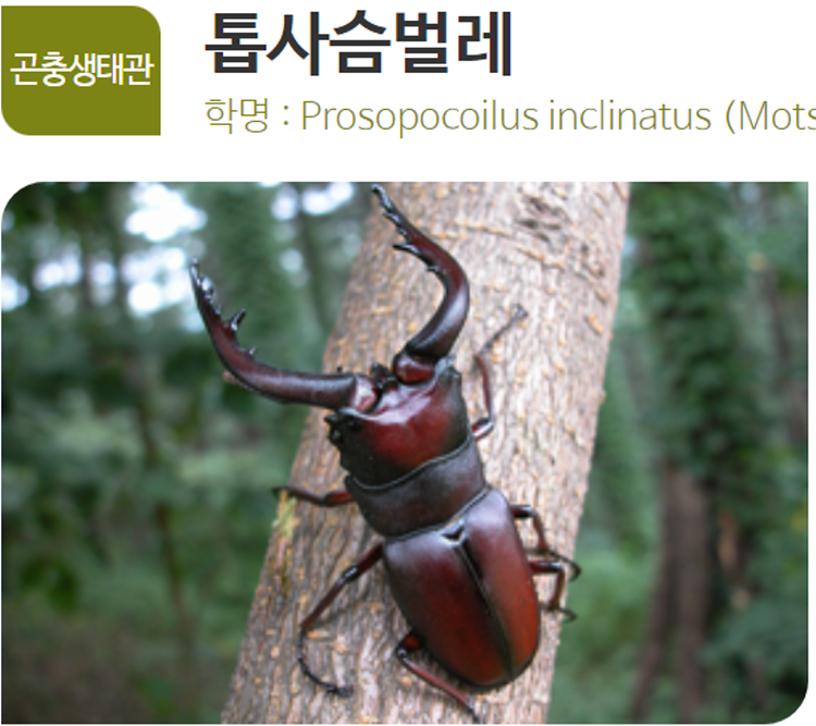 아산 생태곤충원