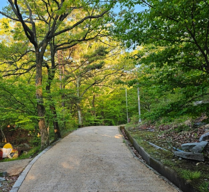 마니산 오르는길