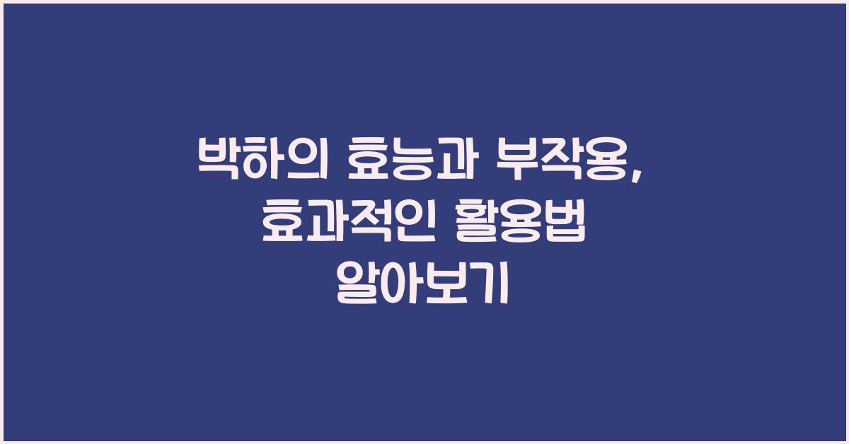 박하의 효능