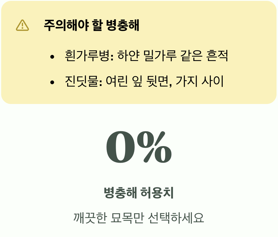 5. 병충해 흔적, 작은 단서도 놓치지 마세요