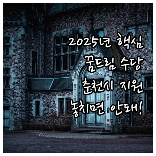 춘천시 청소년 지원 2025 꿈드림 ..