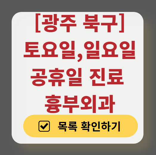광주 북구 주말 토요일 일요일 흉부외과 진료 병원 목록 ❘ 공휴일 진료 영업 병원 리스트 찾기