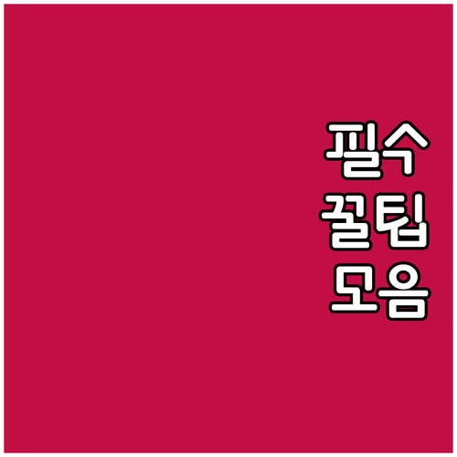자동차 검사 비용 절약 꿀팁 총정리 ..