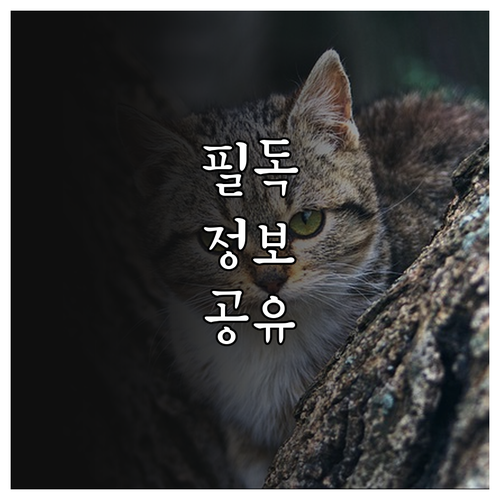 2025년 자립준비청년 정착금 150..