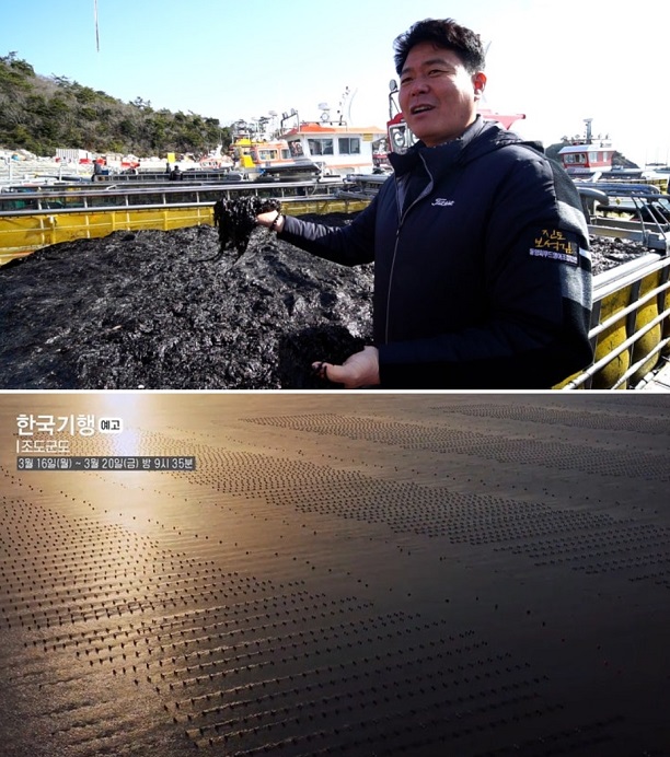 한국기행-진도-물김-김호림-진도사랑호림이네