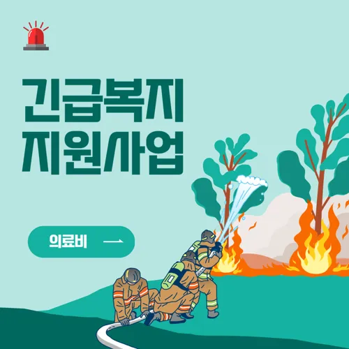 긴급복지 지원사업: 의료비 지원 (1회 최대 300만원 지원)