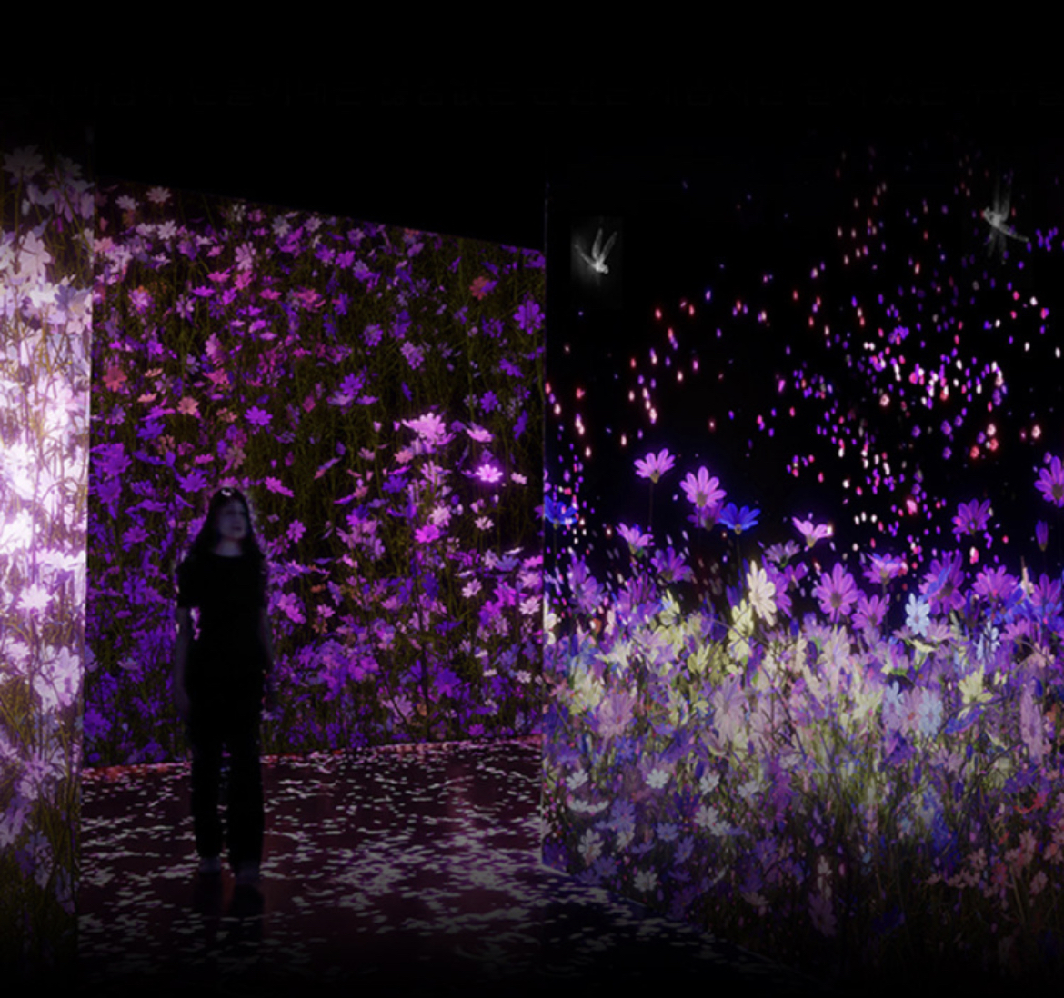  아르떼뮤지엄 강릉