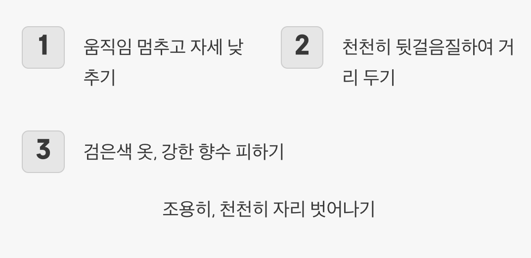 마주쳤을 때, 이것만은 기억하세요