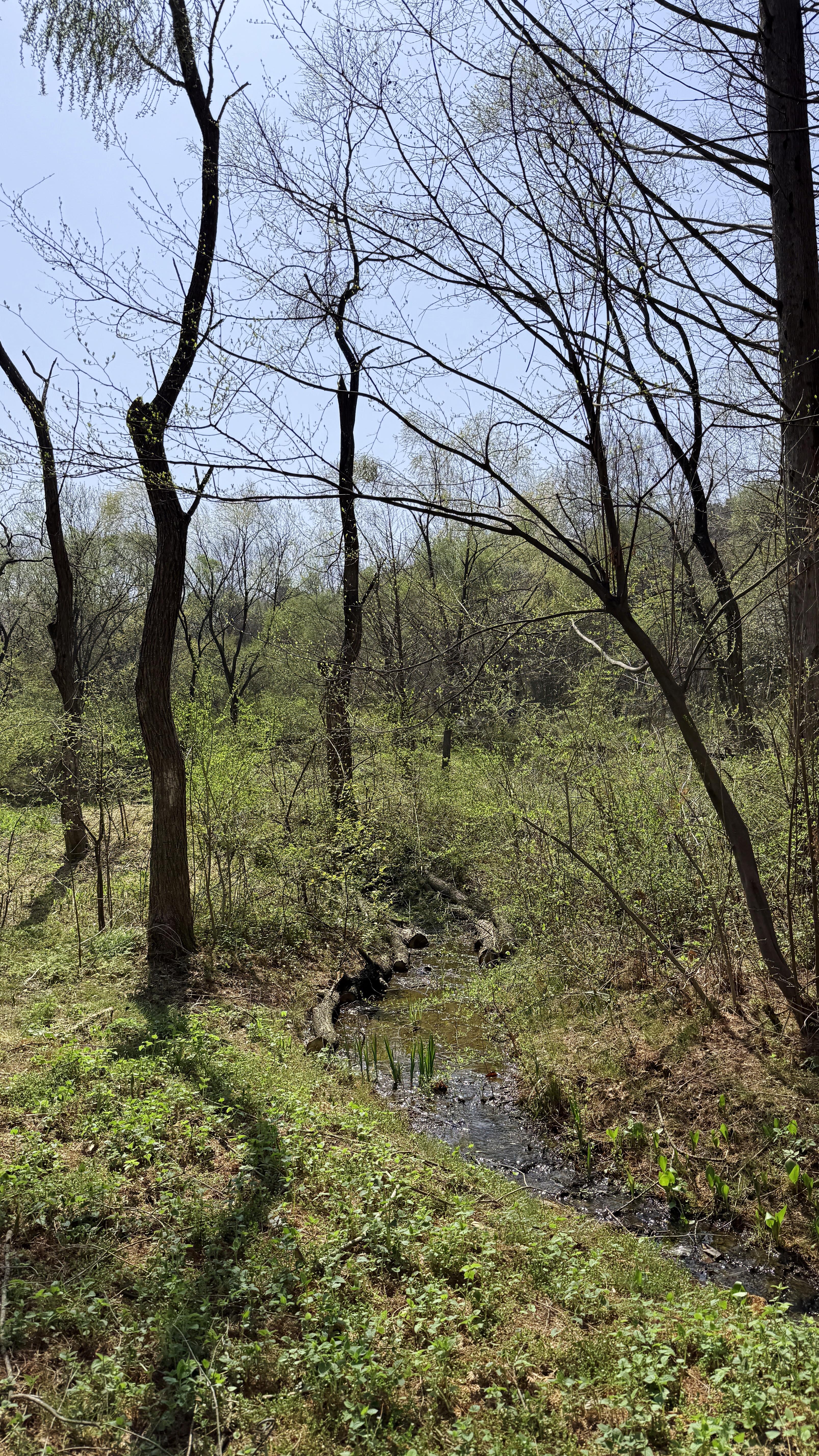 물향기수목원 습지생태원